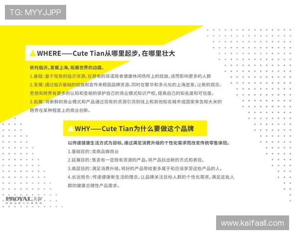 凯发集团旗下的公司:详细分析各子公司在市场中的定位与未来规划 凯发集团旗下的公司:详细分析各子公司在市场中的定位与未来规划