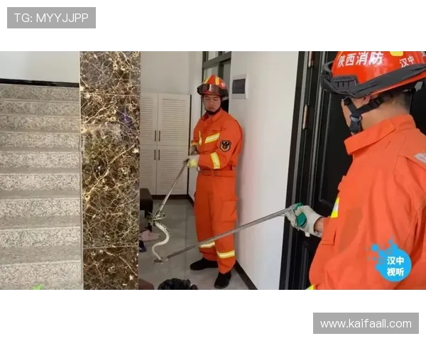 MG电游安全充值与账号保护措施详解保障玩家资金与个人信息安全