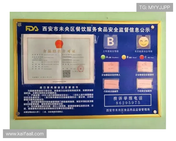 凯发在线官网登录安全保障措施，确保玩家个人信息和资金安全的全面措施