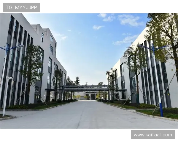 凯发真人集团怎么样：平台运营历史与行业内的竞争优势